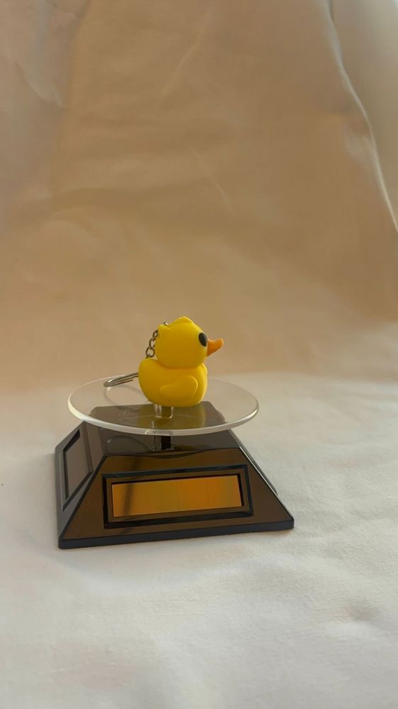 BABY DUCK _thumbnail_3
