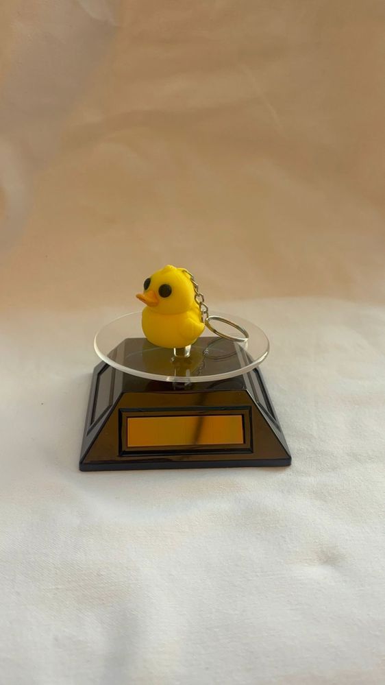 BABY DUCK _thumbnail_2