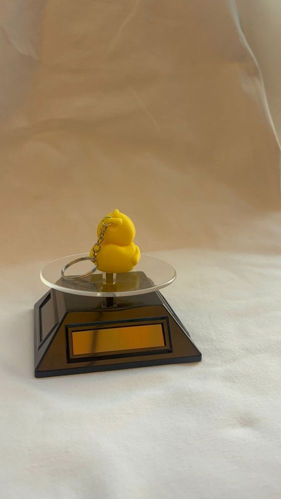 BABY DUCK _thumbnail_1