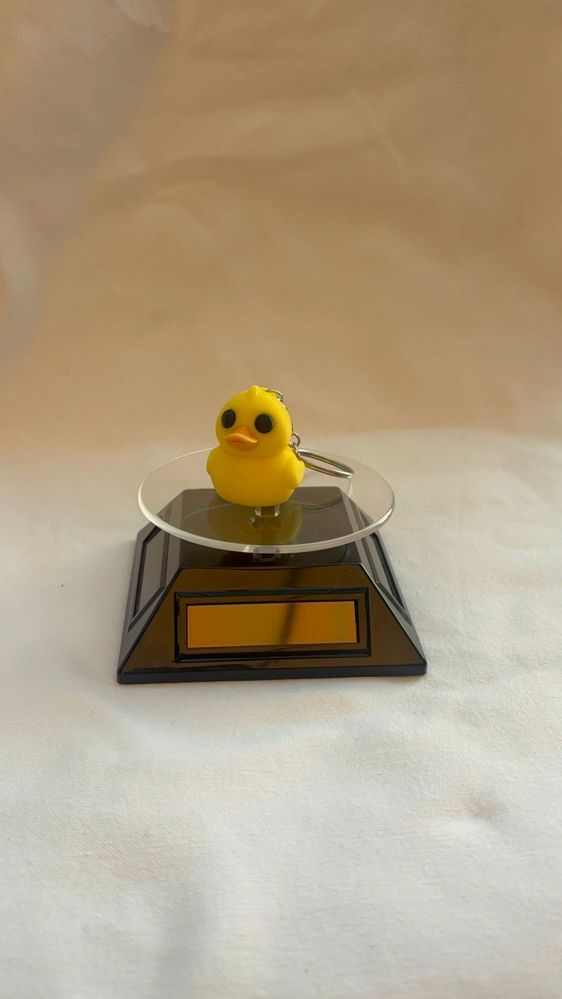 BABY DUCK _thumbnail_4